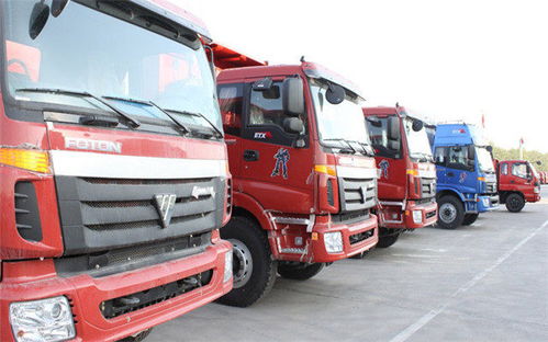 樂清柳市至奎屯市專業(yè)物流托運專線服務(wù)詳解