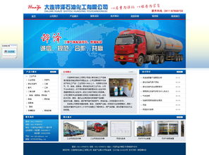 大連新圖聞科技 專業(yè)網(wǎng)站建設與推廣一站式解決方案